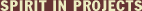 Navigationspunkt 'Spirit in Projects'
